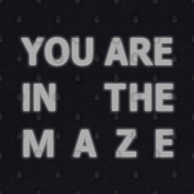 You are in the maze by AO01